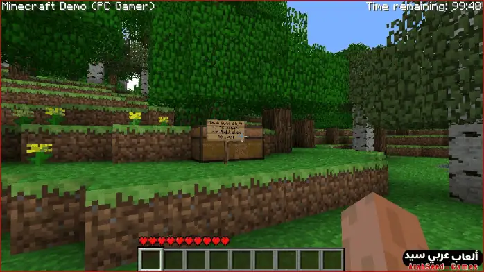 minecraft-1